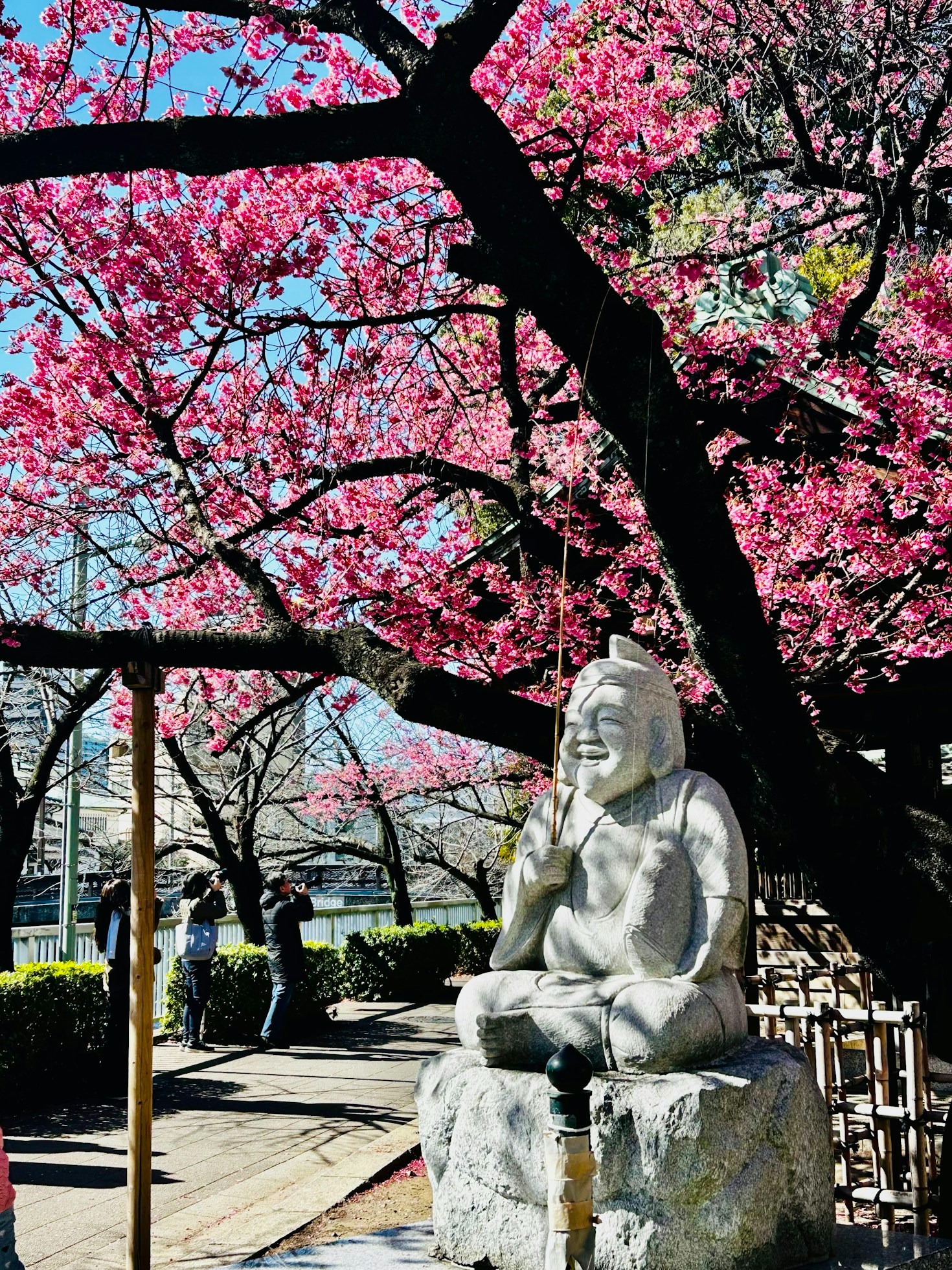 Top Activities to Enjoy in Gotenyama