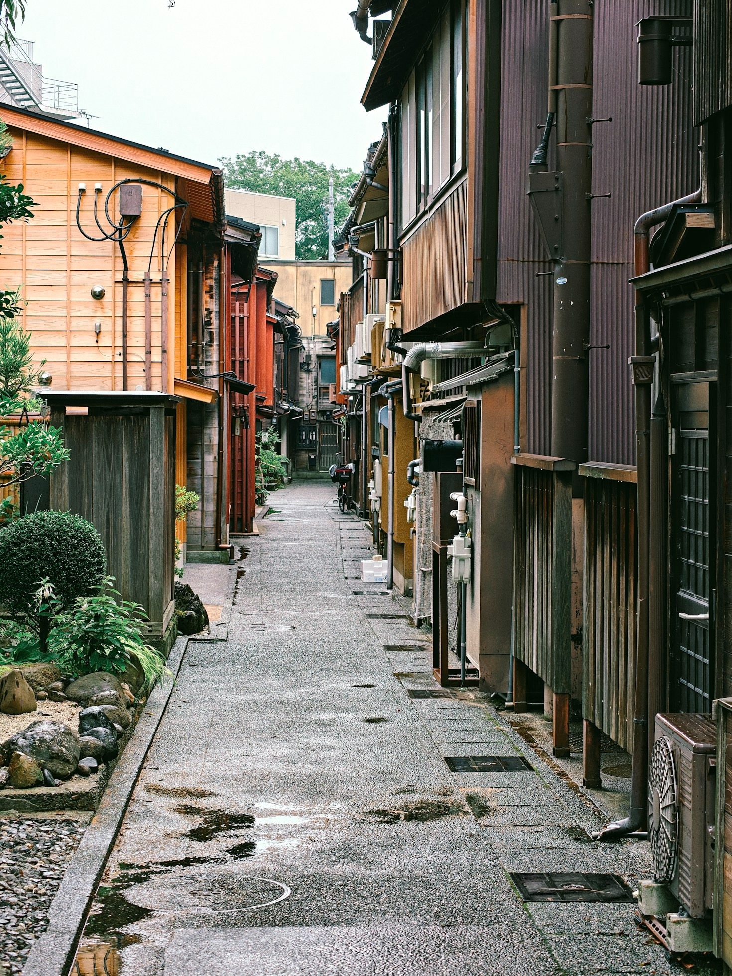 Stories from the Heart of Shinagawa Ward